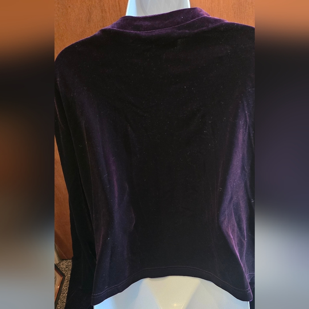 HOST PICK ππ Ronni Nicole II Vintage Velvet Women's Top/sweater NWT Sz24W/L - Picture 5 of 6